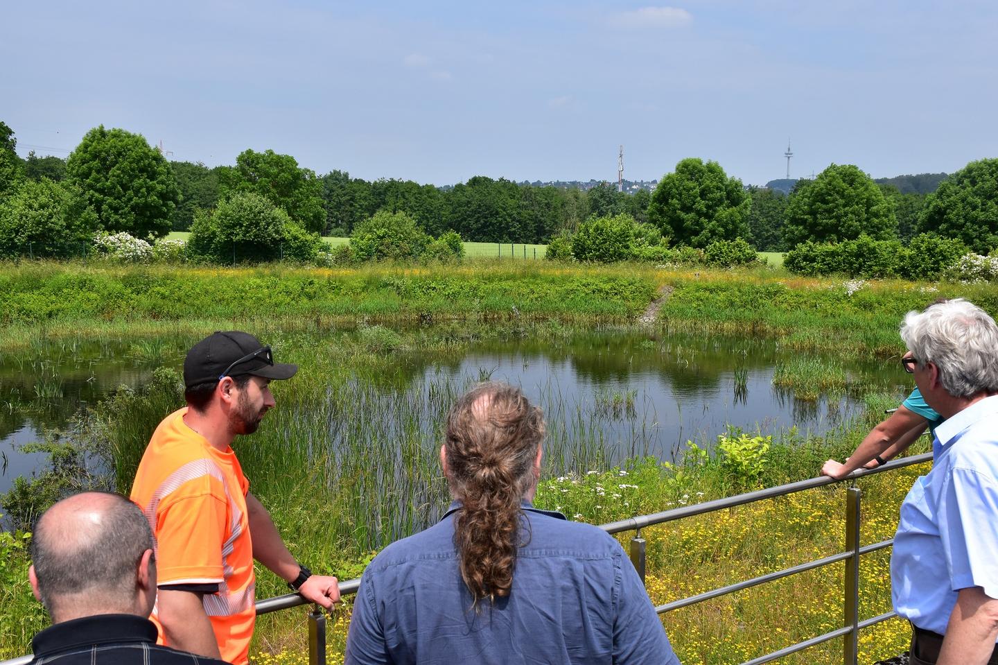 Die Expertengruppe betrachtet einen Teich, der zur Wasserreinigung dient. 