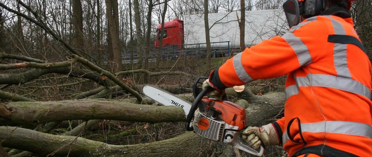 Ein Mitarbeiter der Autobahn Westfalen zerkleinert mit einer Kettensäge einen Baumstamm.