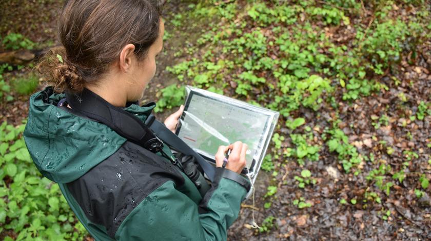 Julia Schielmann notiert im Wald Infos auf ihrem Tablet.
