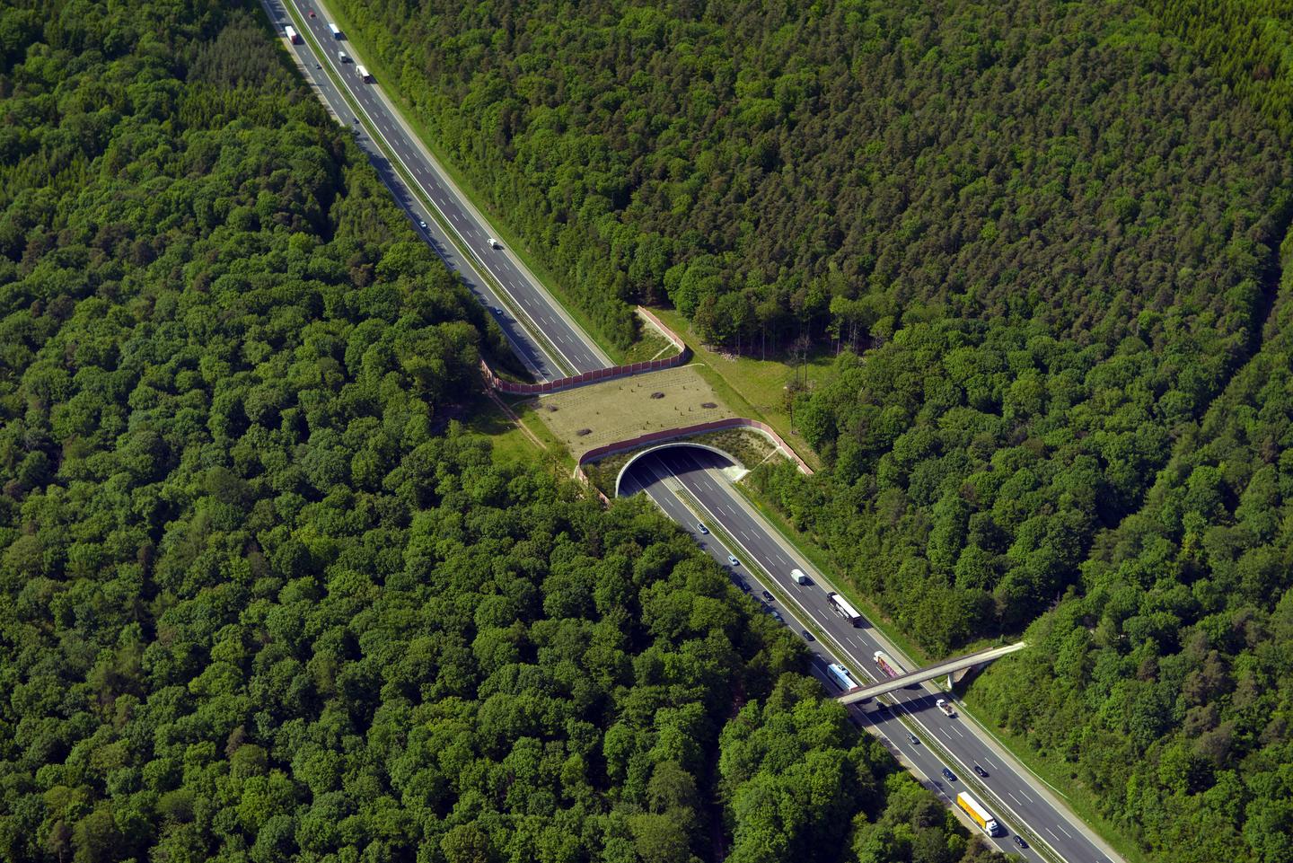 Vergleichbares Bauwerk einer fertiggestellten Grünbrücke (Foto: Hajo Dietz - Nürnberg Luftbild)
