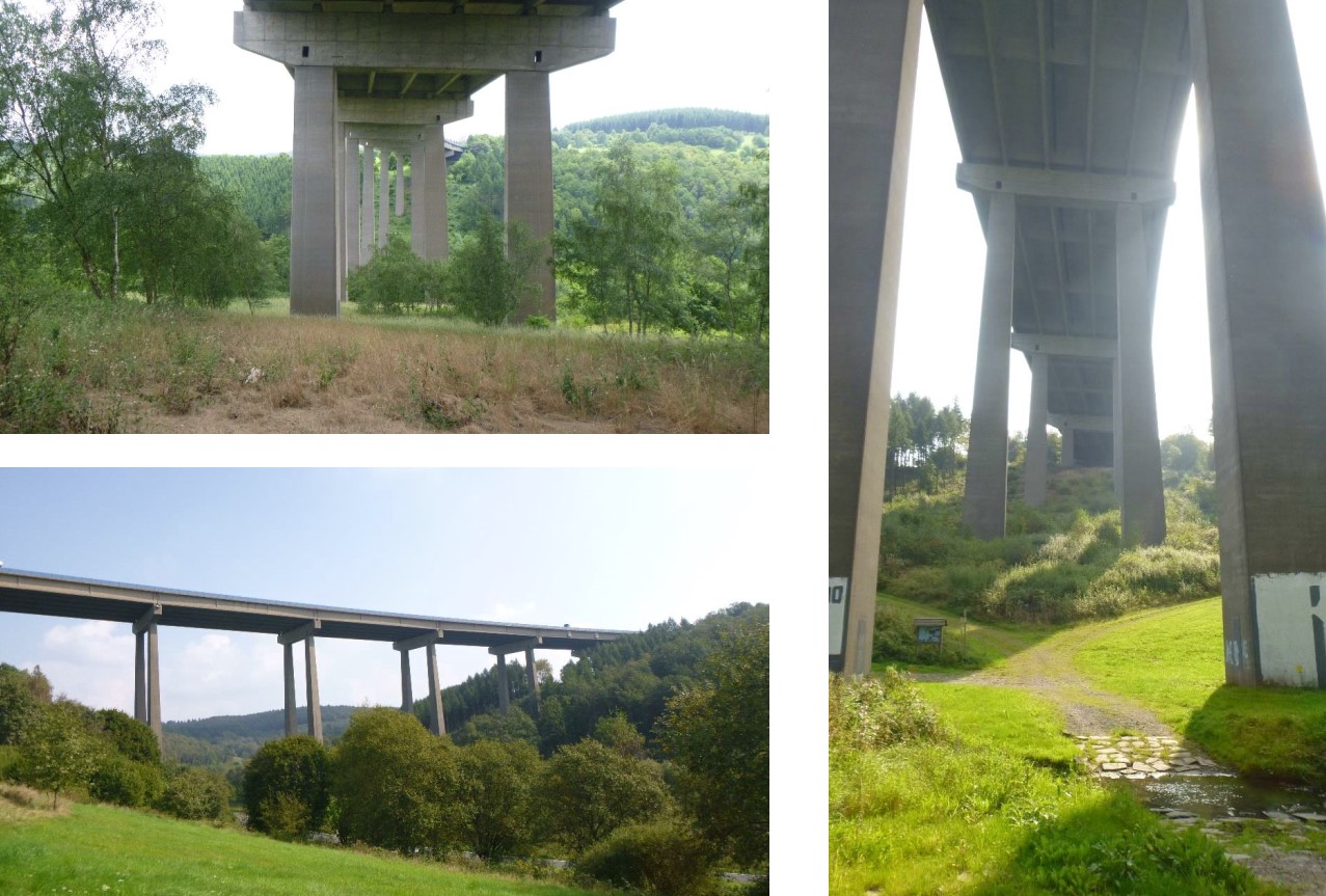 Drei Bilder zeigen die Talbrücke, bevor die Bauarbeiten begonnen haben. 