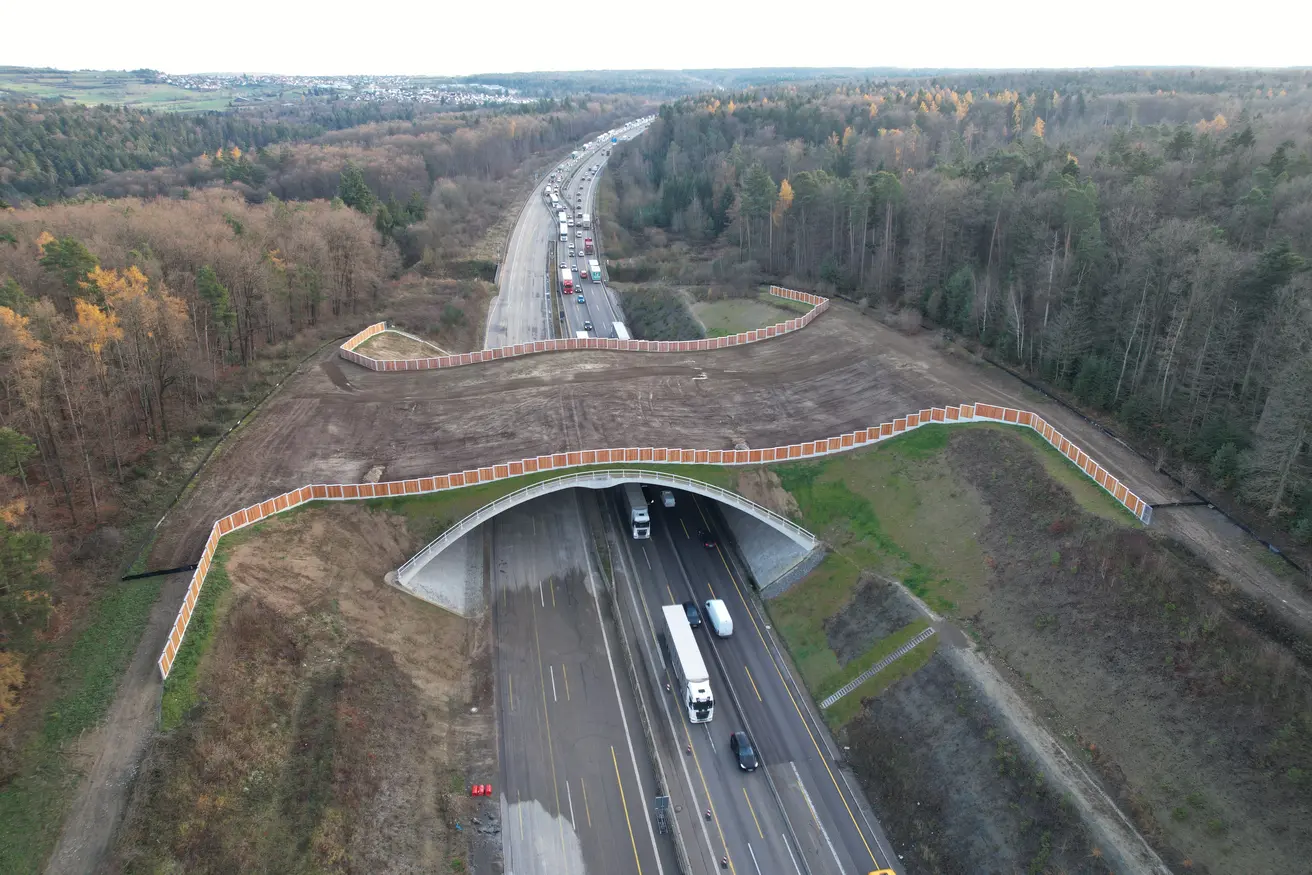 25-12-02_Baufortschritt Enztalquerung (25).JPG