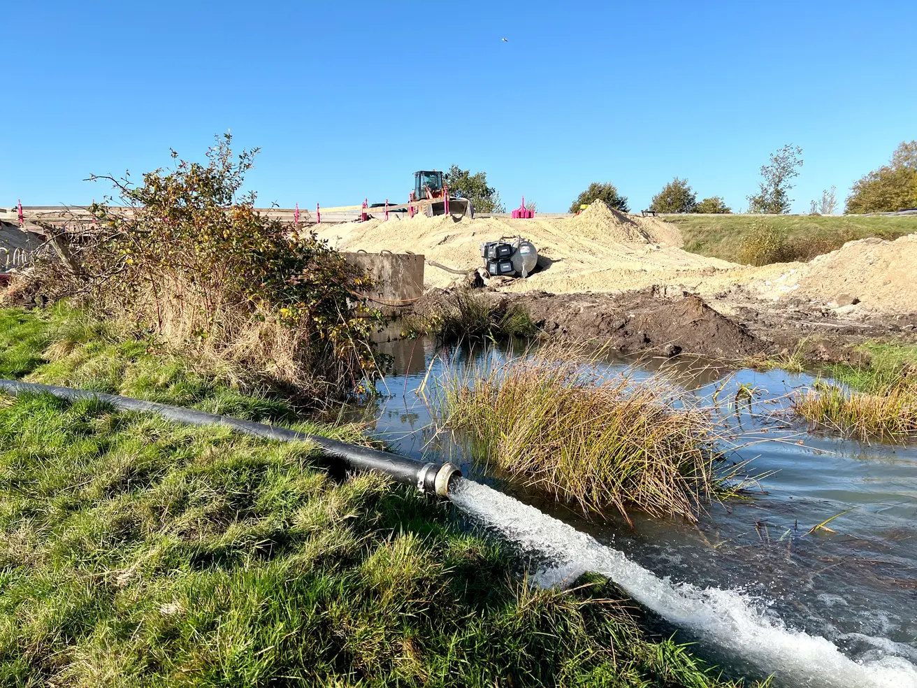 BW 7331a 20251030 101557439 iOS