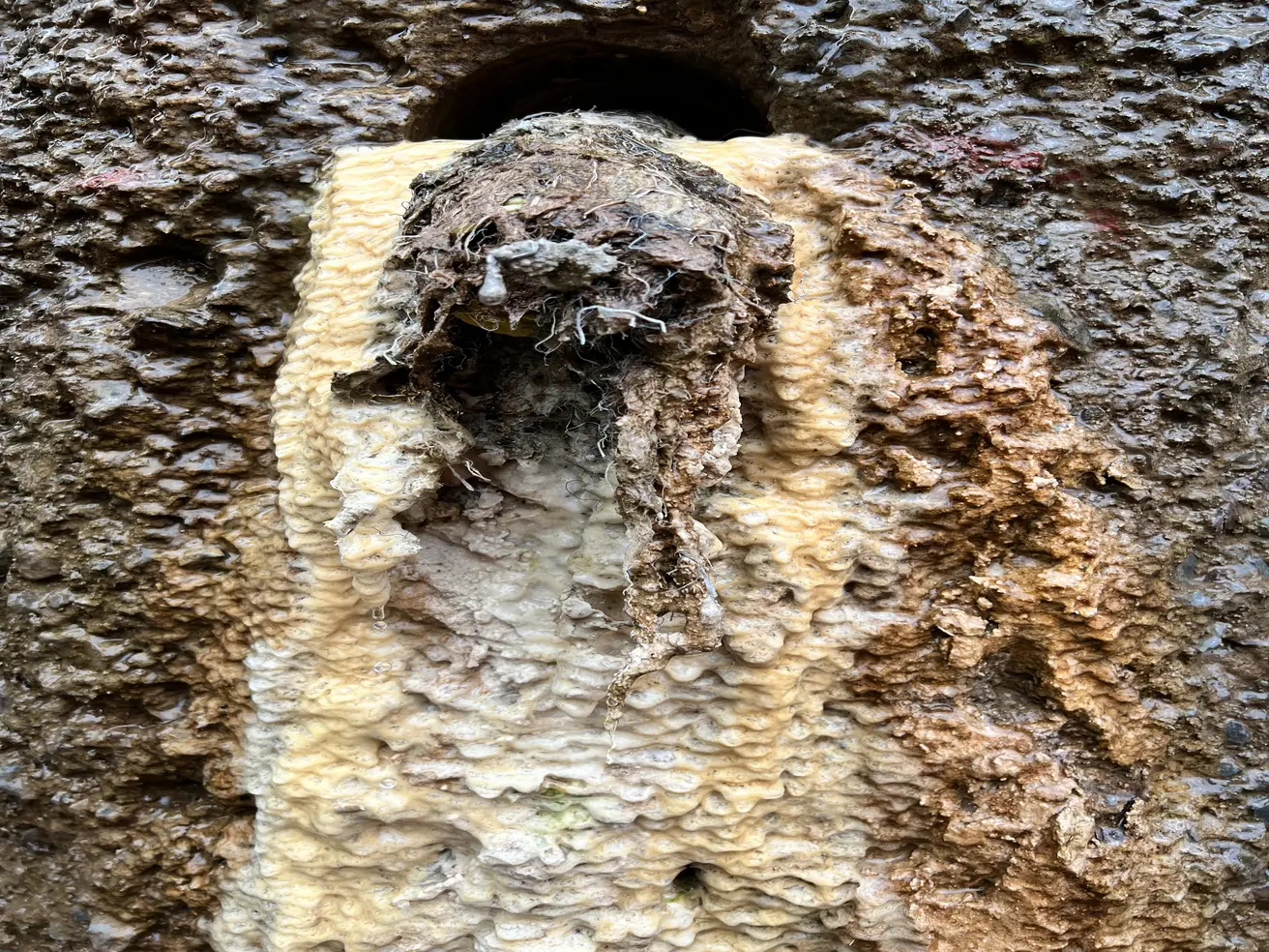 Wasser tritt aus der Stützwand aus