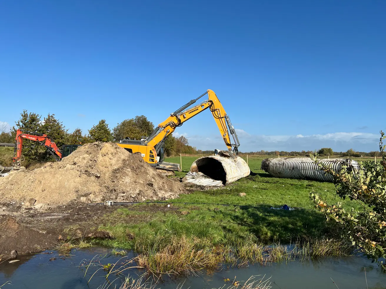 BW 7331a 20251030 101535344 iOS