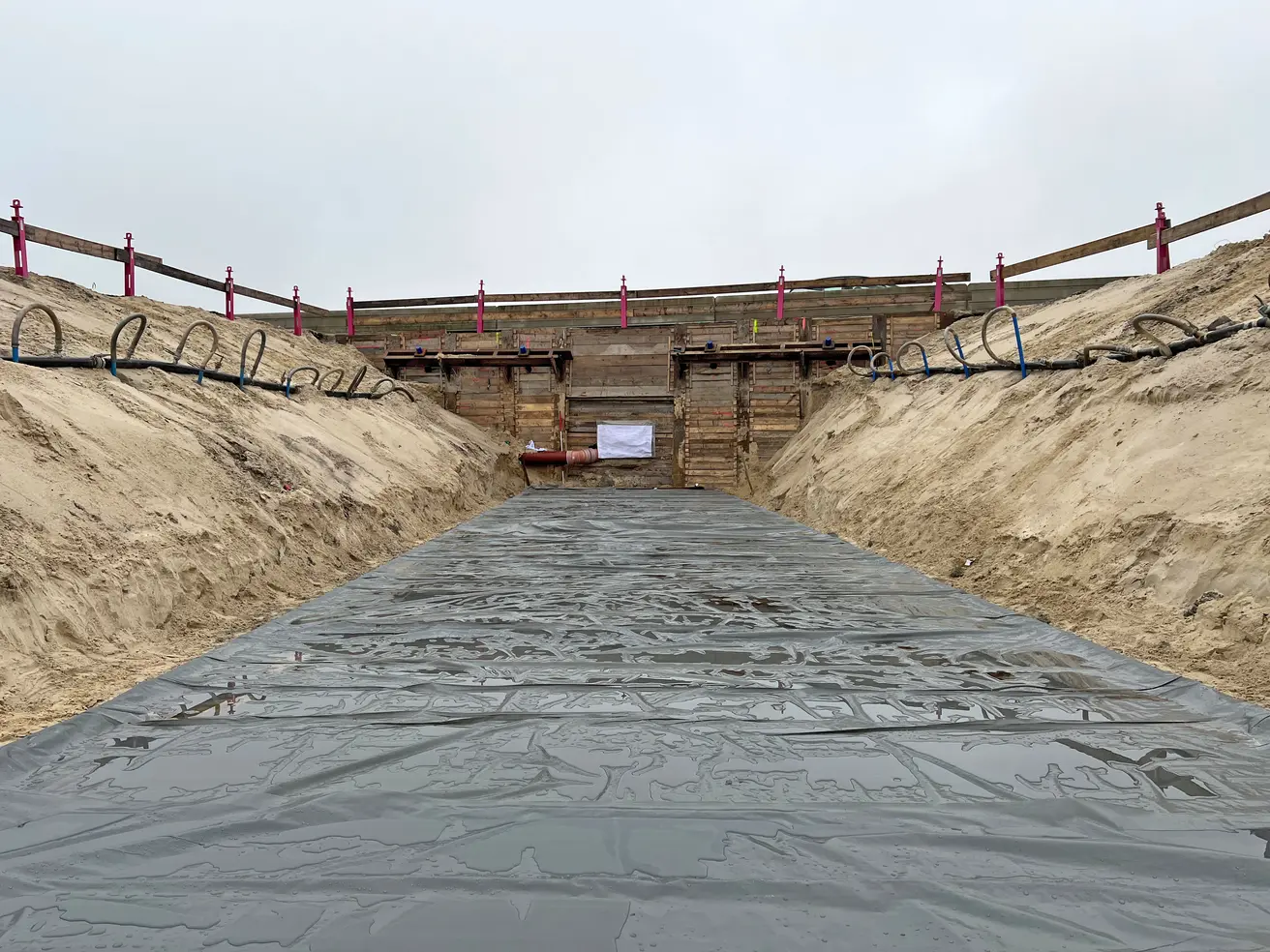 BW 7331a 20251110 114958653 iOS